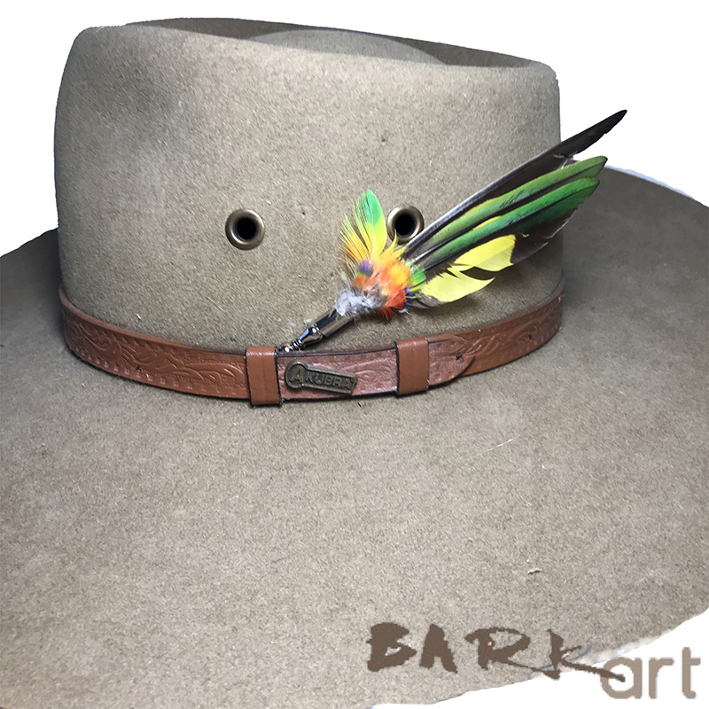 (image for) Rainbow Lorikeet Feather Hat Pin