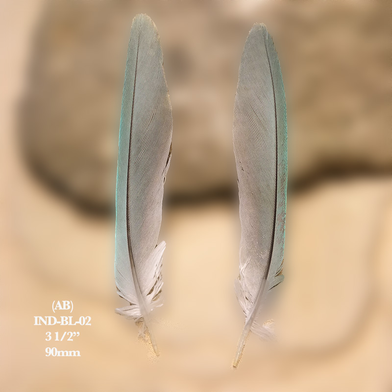 (image for) IND-BL-02 Indian Blue Ringneck Tail Feathers