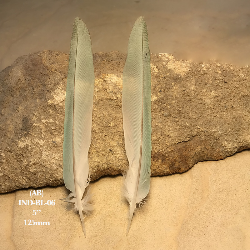 (image for) IND-BL-06 Indian Blue Ringneck Tail Feathers
