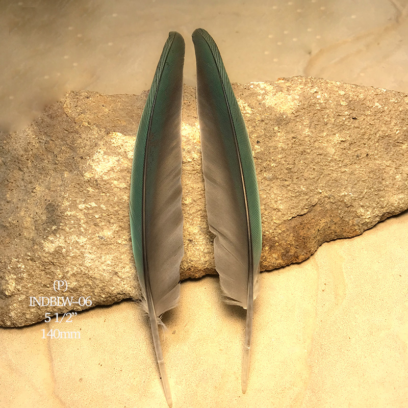 (image for) INDBLW-06 Indian Blue Flight Wing Feathers