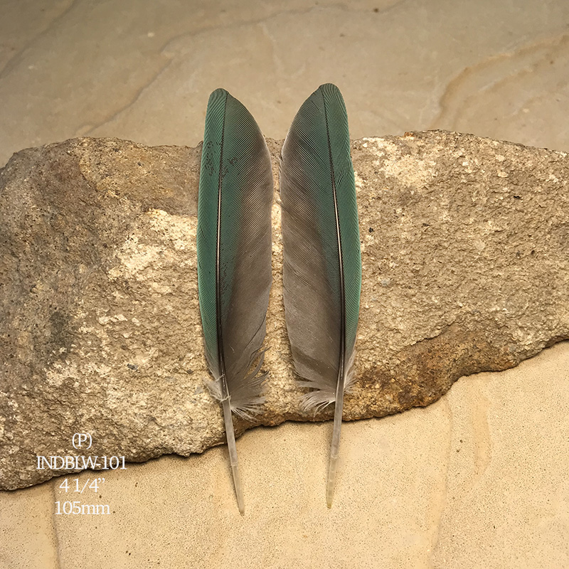 (image for) INDBLW-101 Indian Blue Primary Wing Feathers