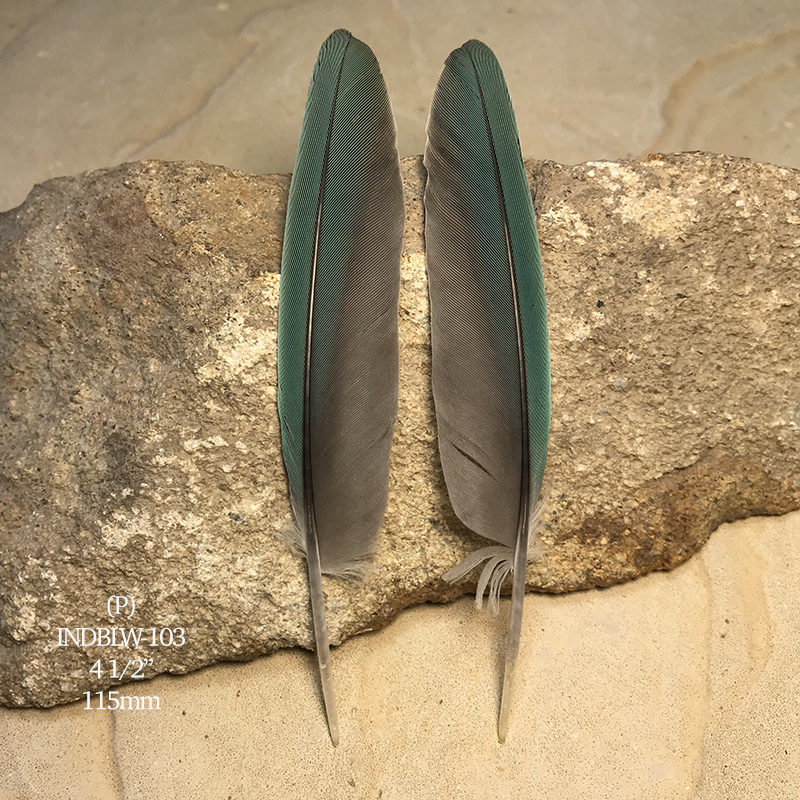 (image for) INDBLW-103 Indian Blue Primary Wing Feathers - Click Image to Close