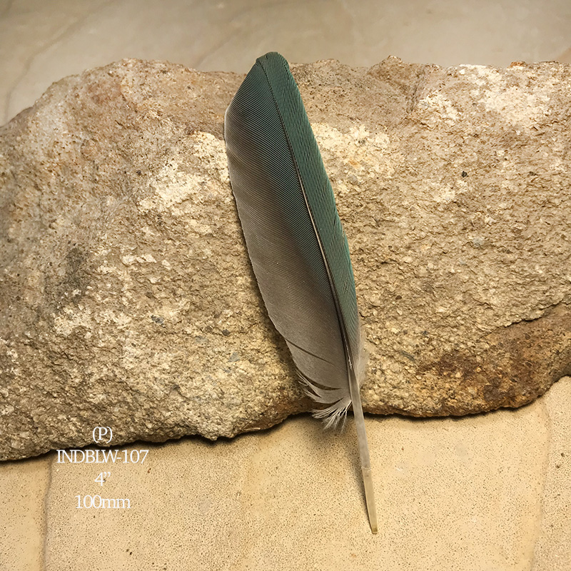 (image for) INDBLW-107 Indian Blue Primary Wing Feather - Click Image to Close