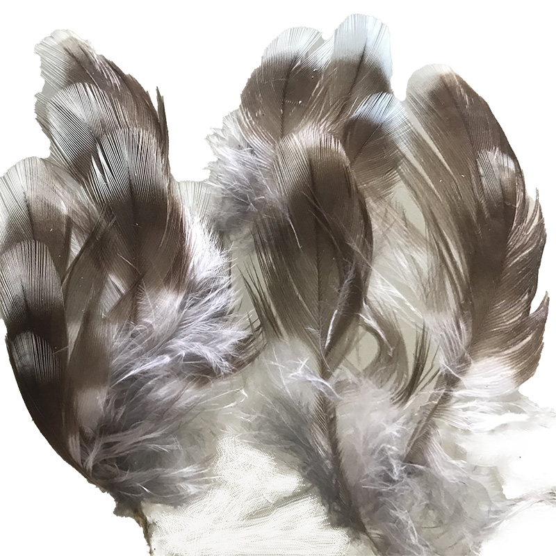 (image for) Laughing Kookaburra Wing Blue Tip Feathers X10