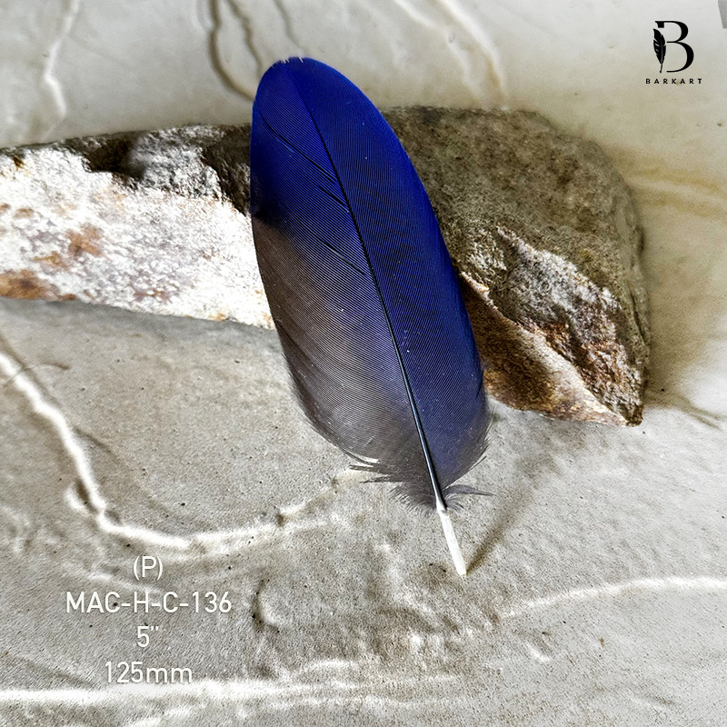 (image for) MAC-H-C-136 Hyacinth Macaw Covert Feather