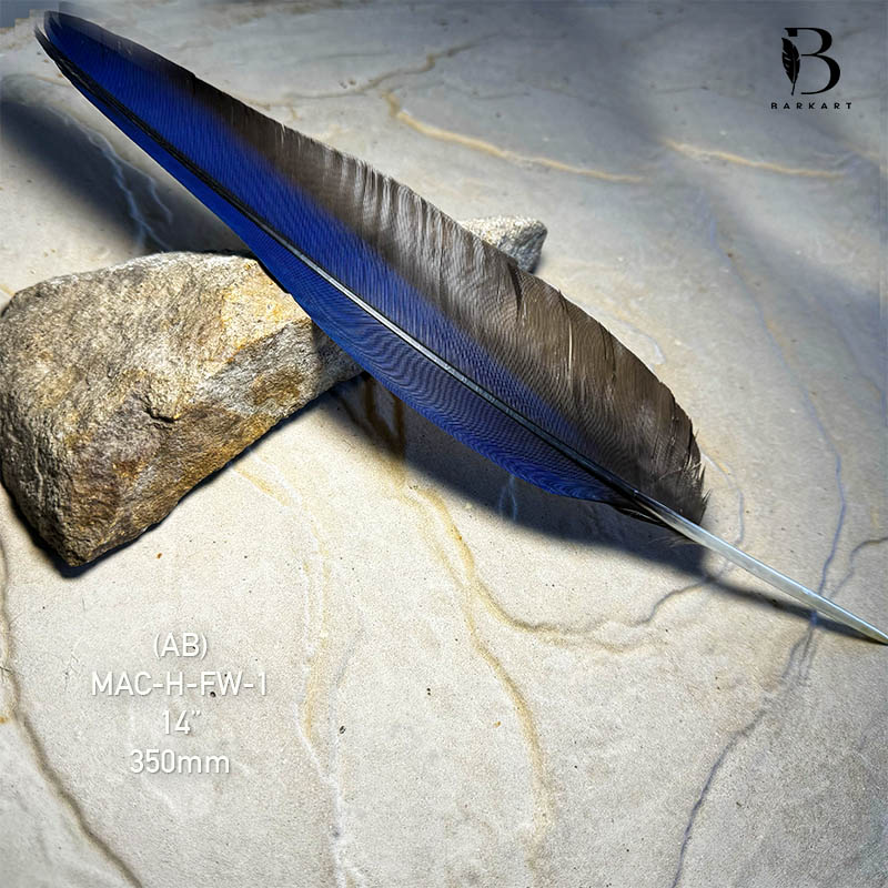 (image for) MAC-H-FW-1 Hyacinth Macaw Flight Wing Feather