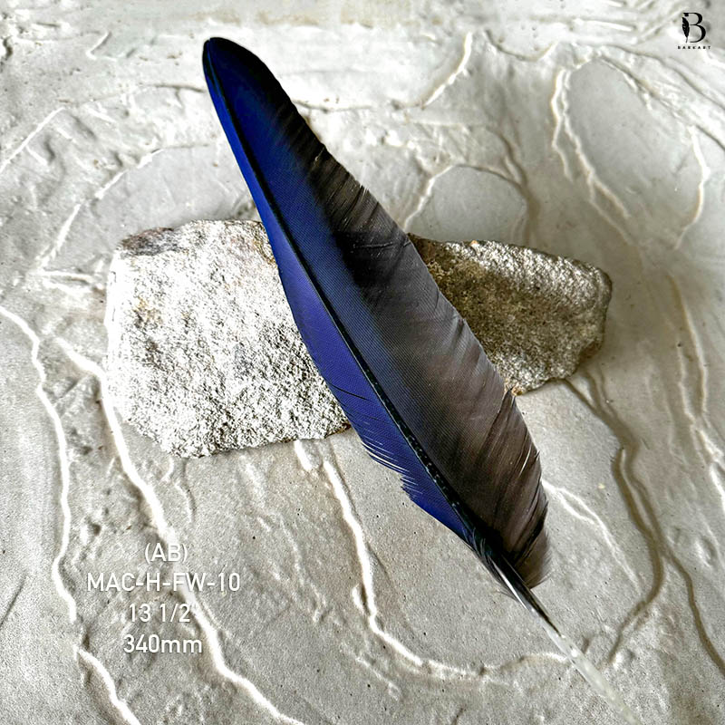 (image for) MAC-H-FW-10 Hyacinth Macaw Flight Wing Feather