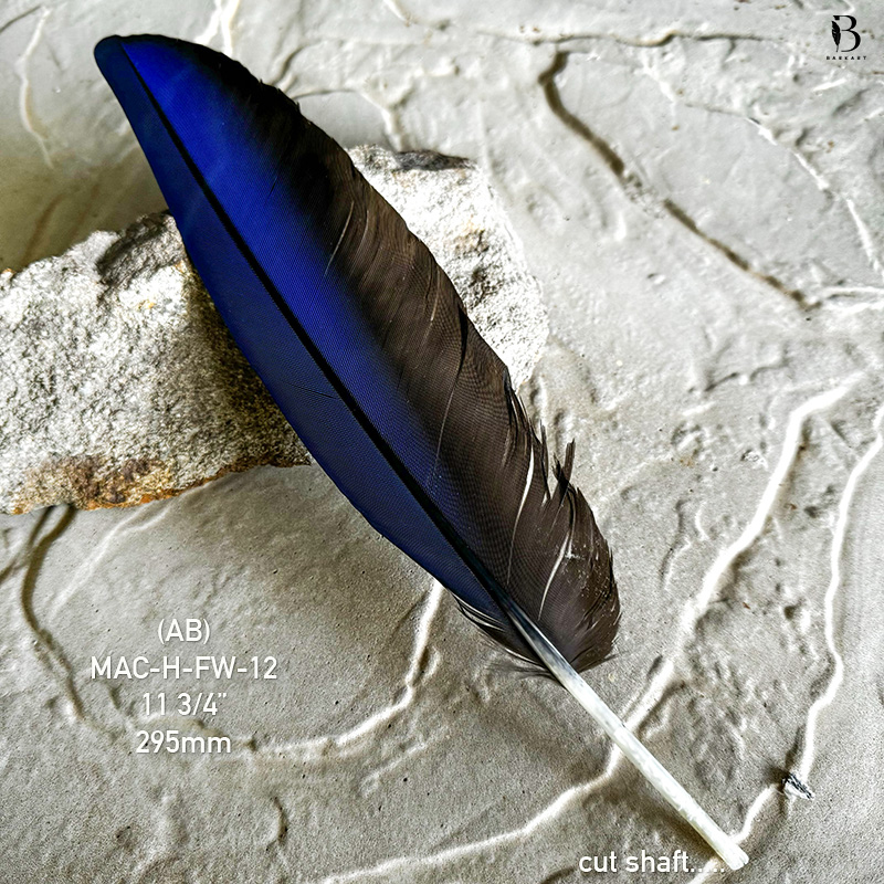 (image for) MAC-H-FW-12 Hyacinth Macaw Flight Wing Feather