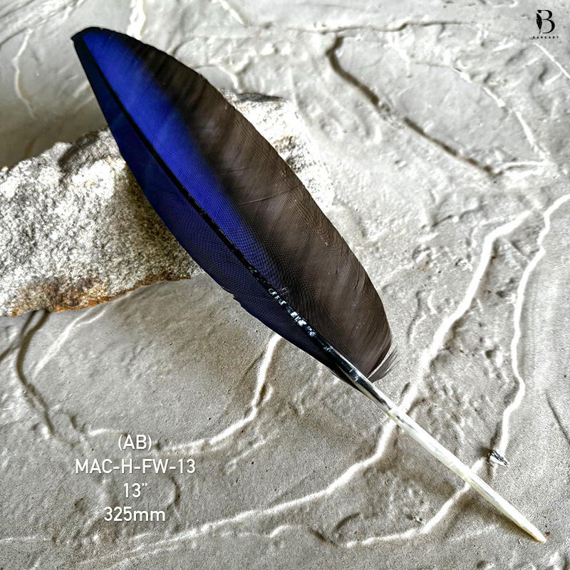 (image for) MAC-H-FW-13 Hyacinth Macaw Flight Wing Feather