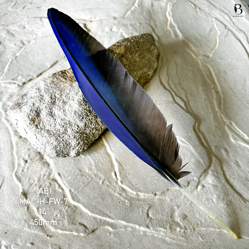 (image for) MAC-H-FW-7 Hyacinth Macaw Flight Wing Feather