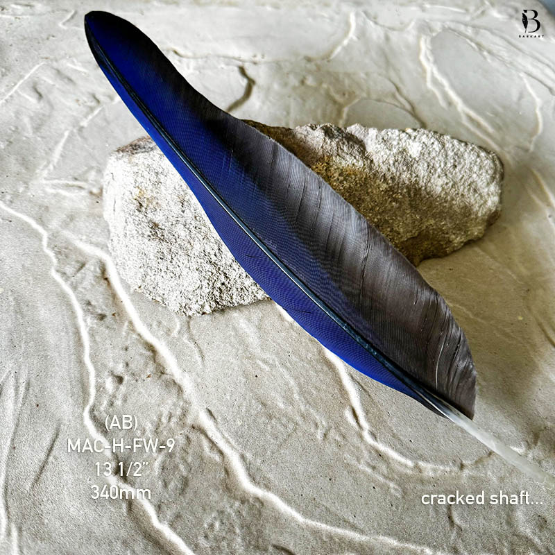 (image for) MAC-H-FW-9 Hyacinth Macaw Flight Wing Feather