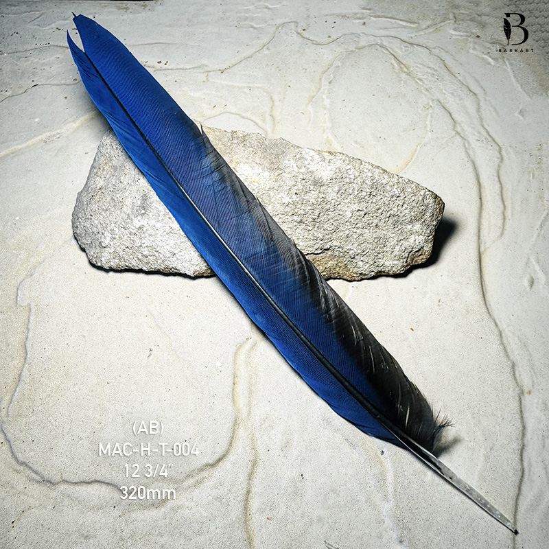 (image for) MAC-H-T-004 Hyacinth Macaw Tail Feather