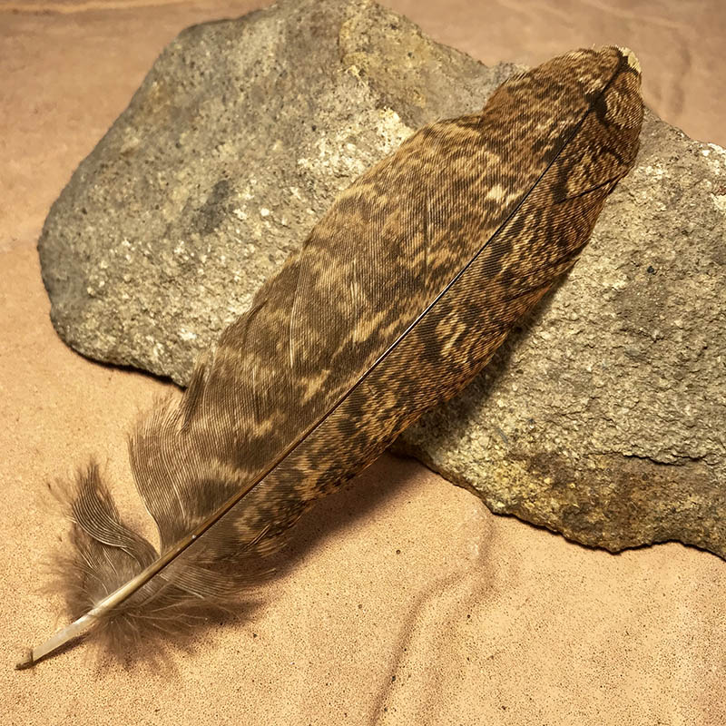 (image for) 155mm Marbled Frogmouth Shoulder Feather - MFS-201
