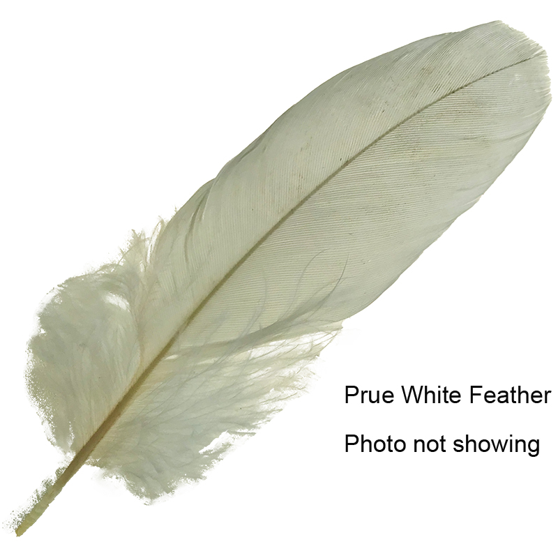 (image for) No.05 Major Mitchell Cockatoo Shoulder Feather