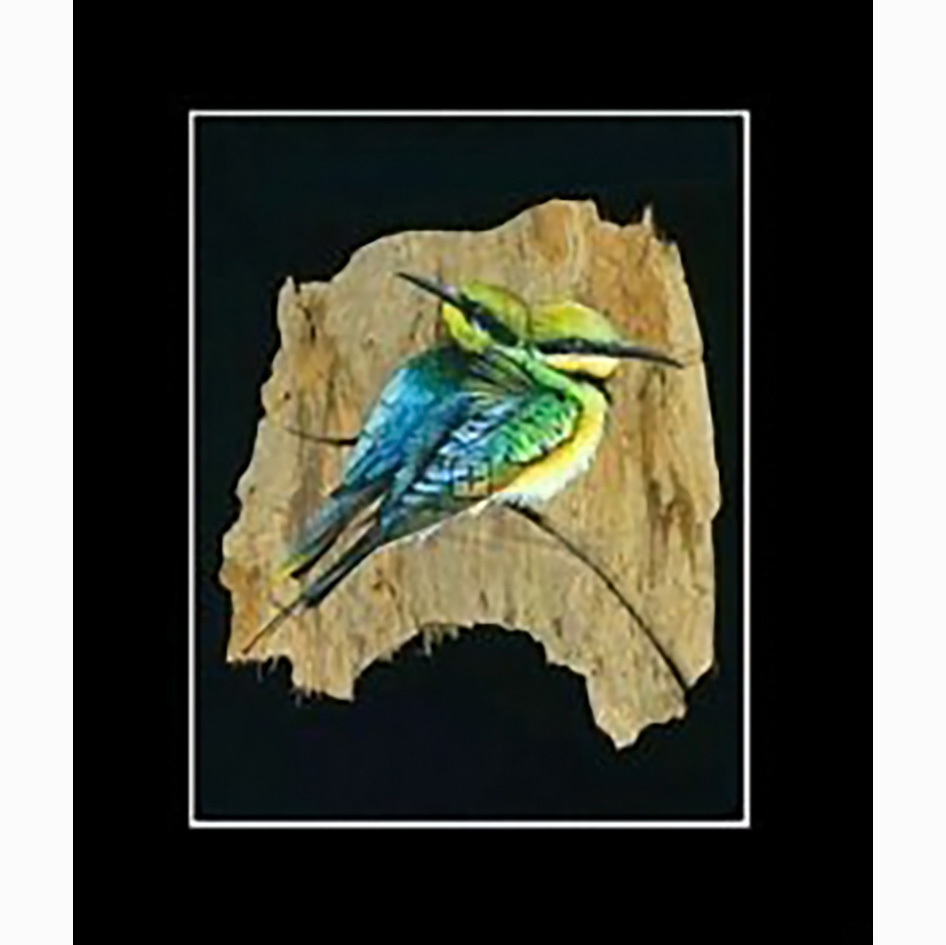 (image for) Rainbow Bee Eater Print