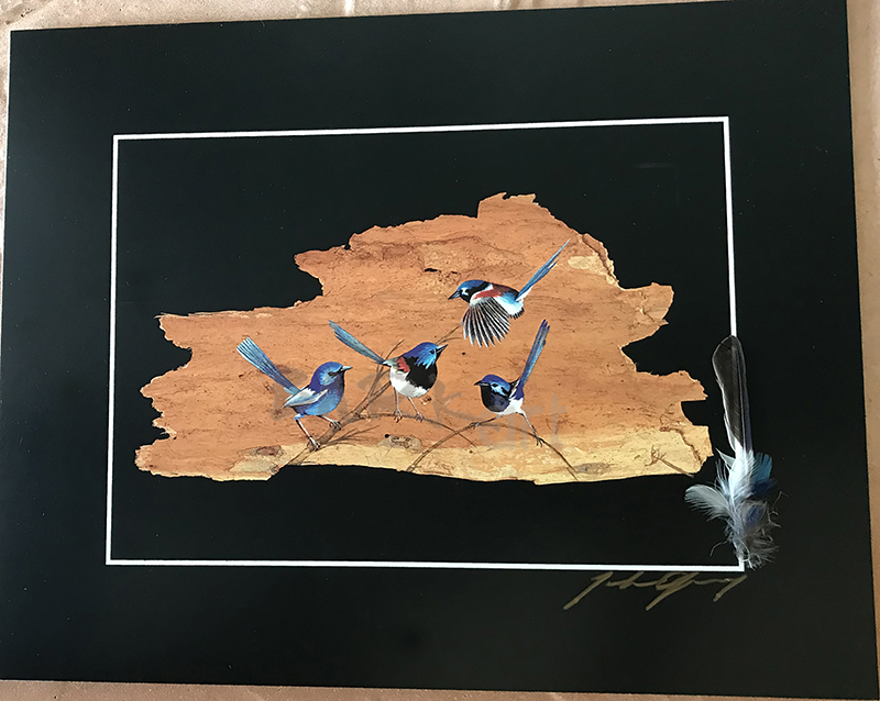 (image for) Fairy Wrens Print, Feather & Signed