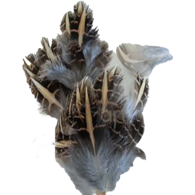 (image for) Quail Stubbled Plumage - Click Image to Close