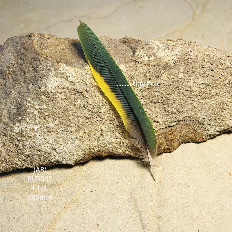 (image for) RLT-045 Rainbow Lorikeet Tail Feather