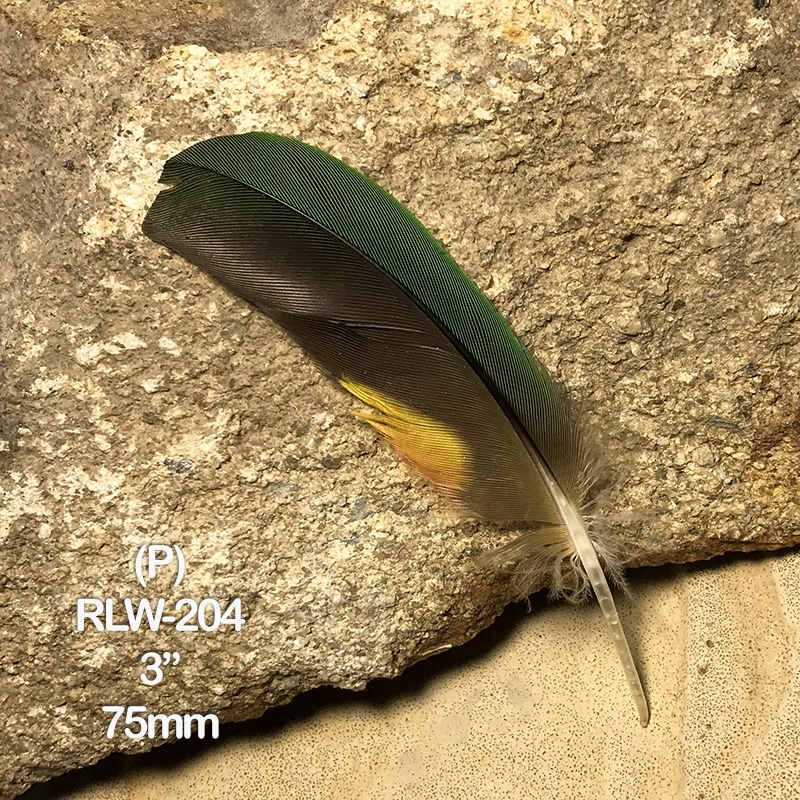 (image for) RLW-204 Rainbow Lorikeet Secondary Wing Feather