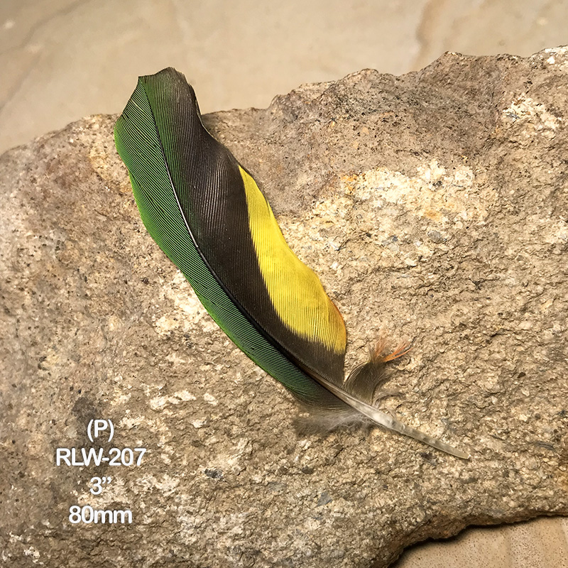 (image for) RLW-207 Rainbow Lorikeet Secondary Wing Feather