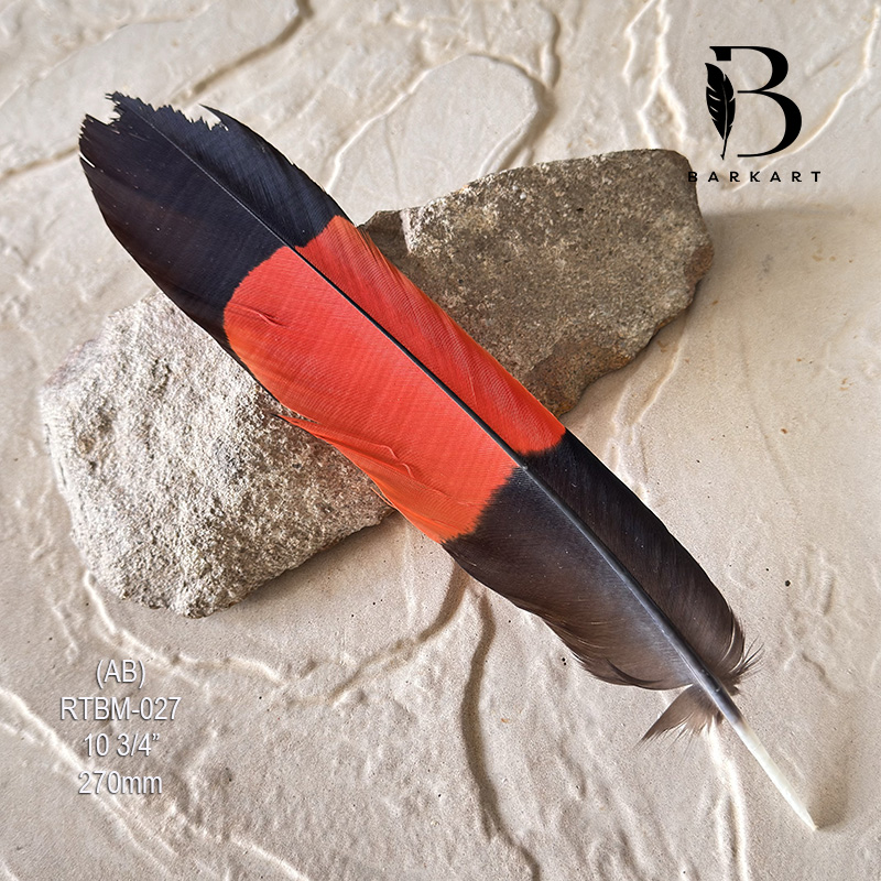 (image for) RTBM-027 Red Tailed Male Black Cockatoo Feather