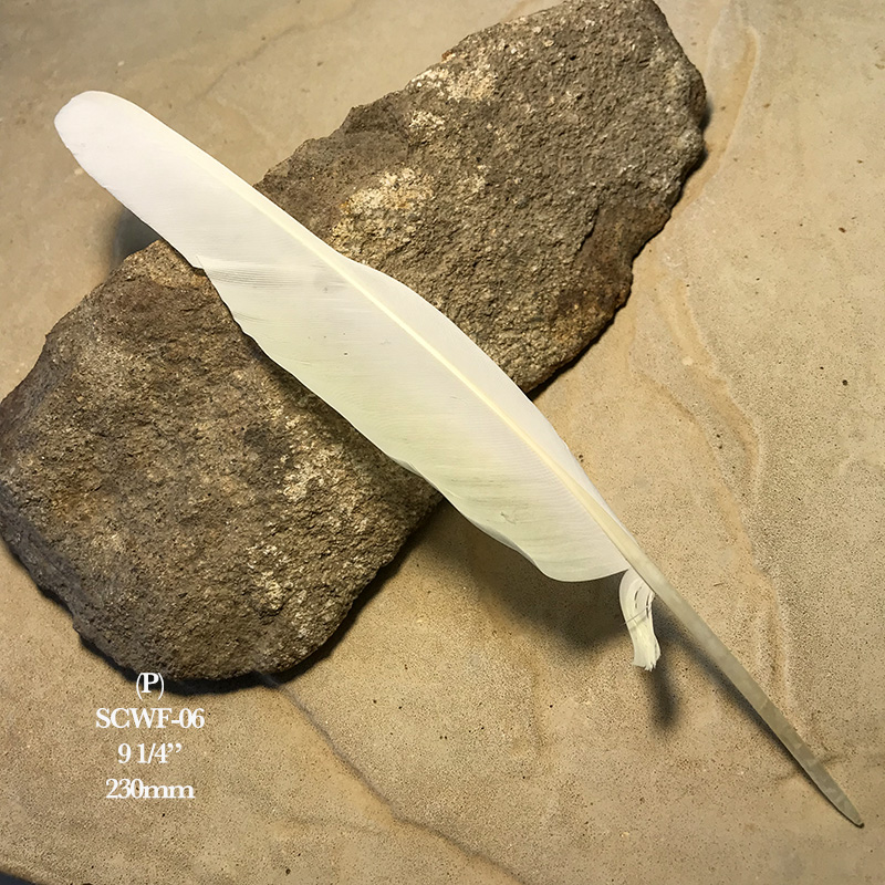 (image for) SCWF-06 Sulphur Crested Cockatoo Flight Wing Feather