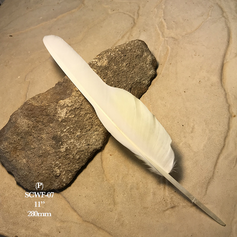 (image for) SCWF-07 Sulphur Crested Cockatoo Flight Wing Feather