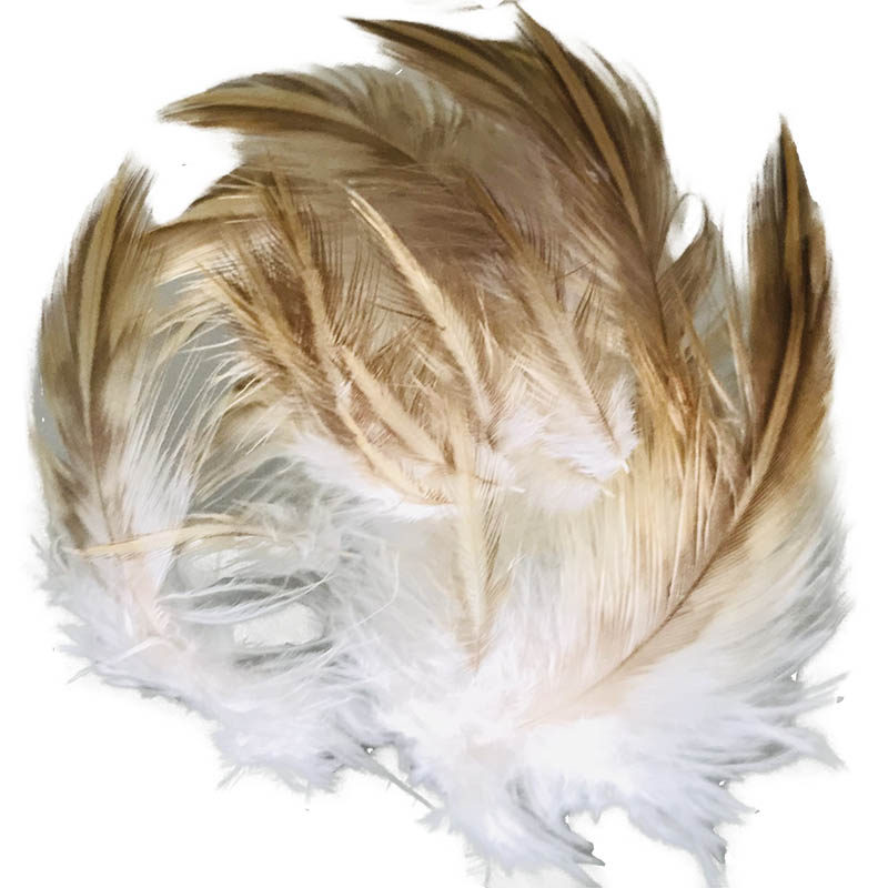 (image for) 20B Whistling Kite Chest Plumage Feather - Click Image to Close