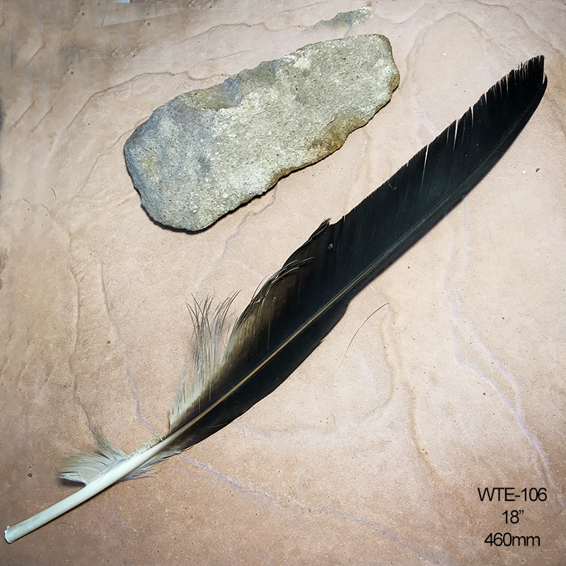 (image for) WTE-106 Defective Eagle Flight Wing Feather