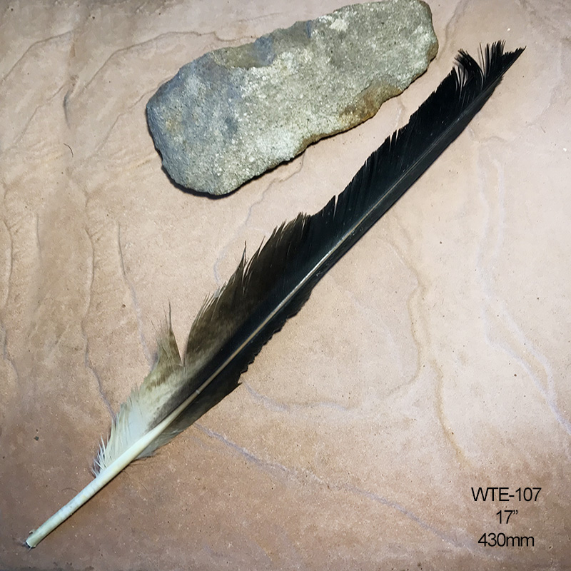 (image for) WTE-107 Defective Eagle Flight Wing Feather