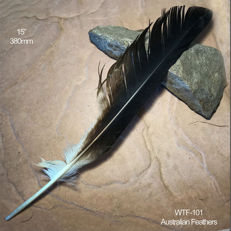 (image for) WTE-101 Defective Eagle Flight Wing Feather - Click Image to Close