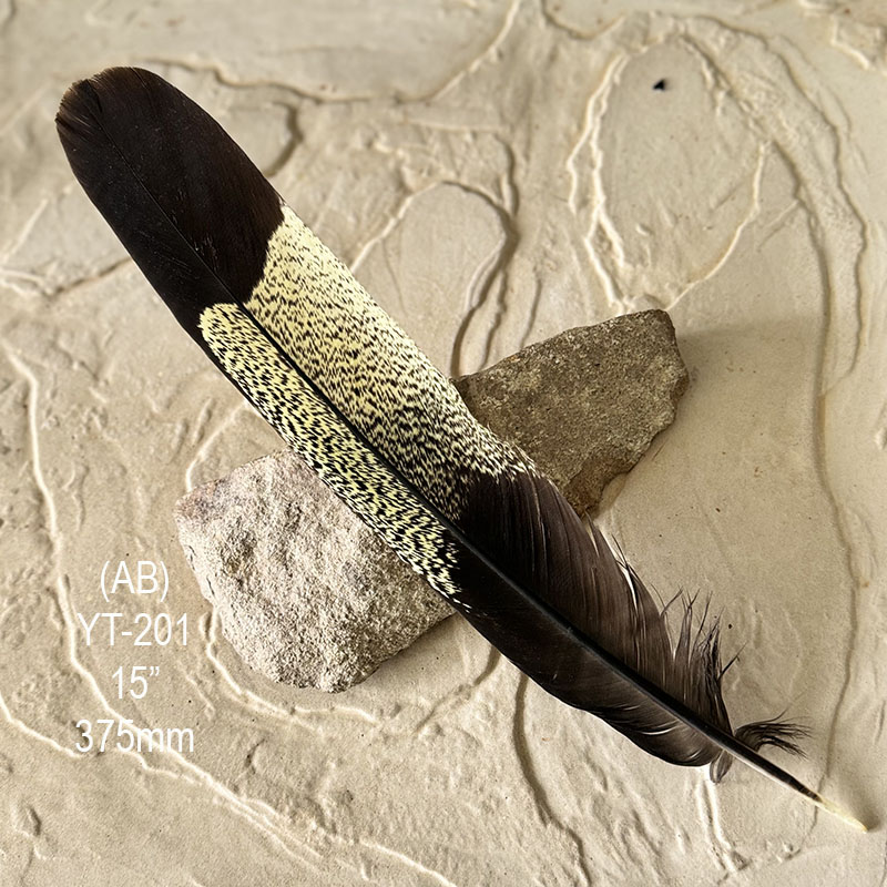 (image for) YT-201 Yellow Tailed Black Cockatoo Tail Feather