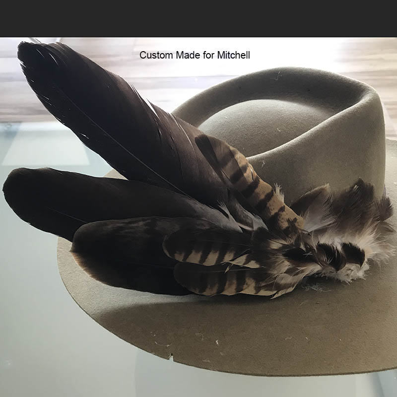 (image for) Wedged Tailed Eagle & Brown Falcon Hat Mount - Click Image to Close