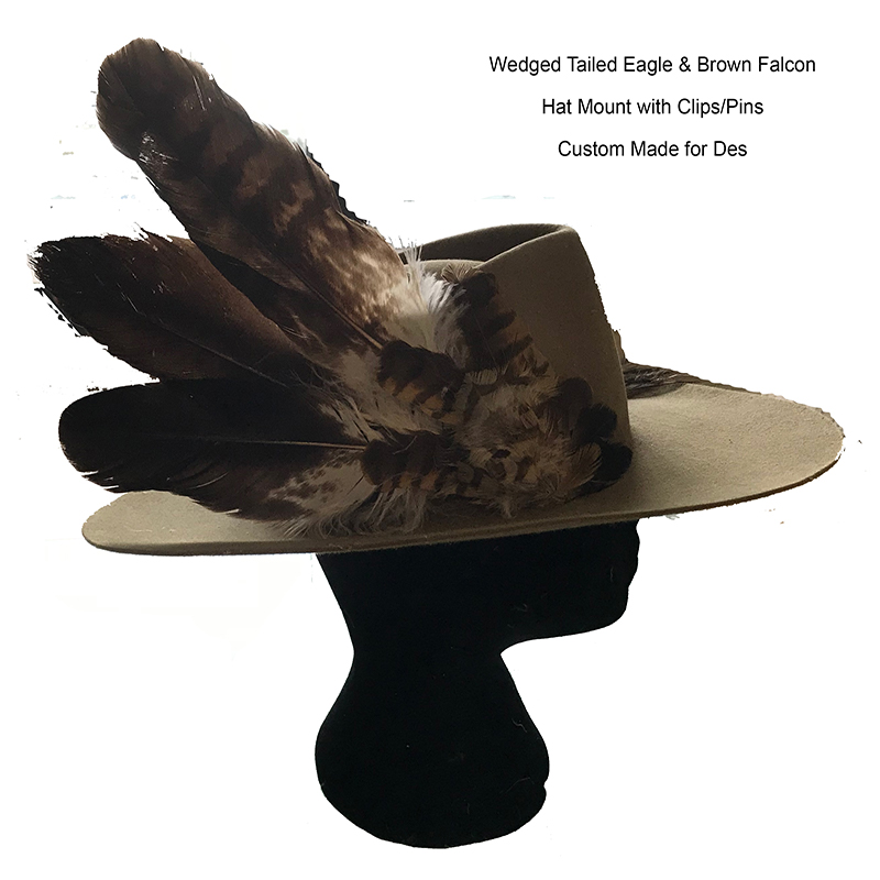(image for) Wedged Tailed Eagle & Brown Falcon Hat Mount