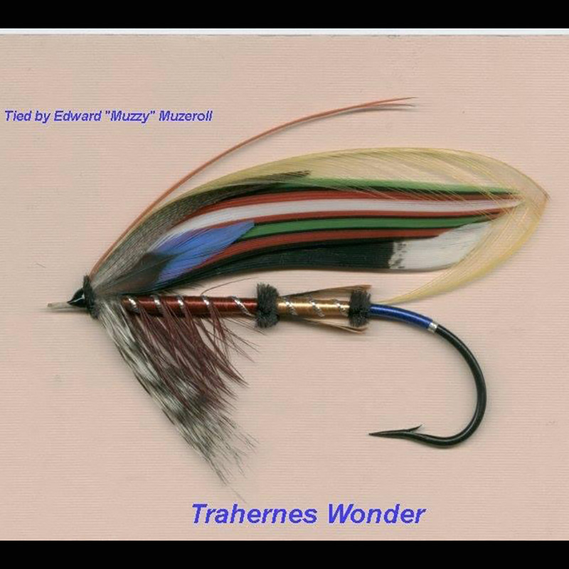 (image for) Trahernes Wonder