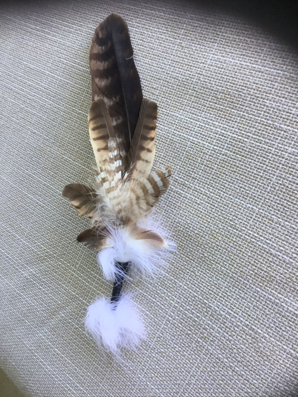 (image for) Wedged Tailed Eagle Feathers and Brown Goshawk Smudge Fan