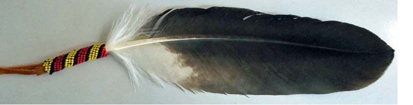 (image for) Eagle Feather